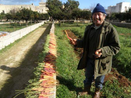 carote tiggiano