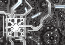 A dog that brings back the bone and Hotel Revenue: Bellman’s Equation